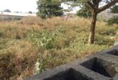 Premium Land
