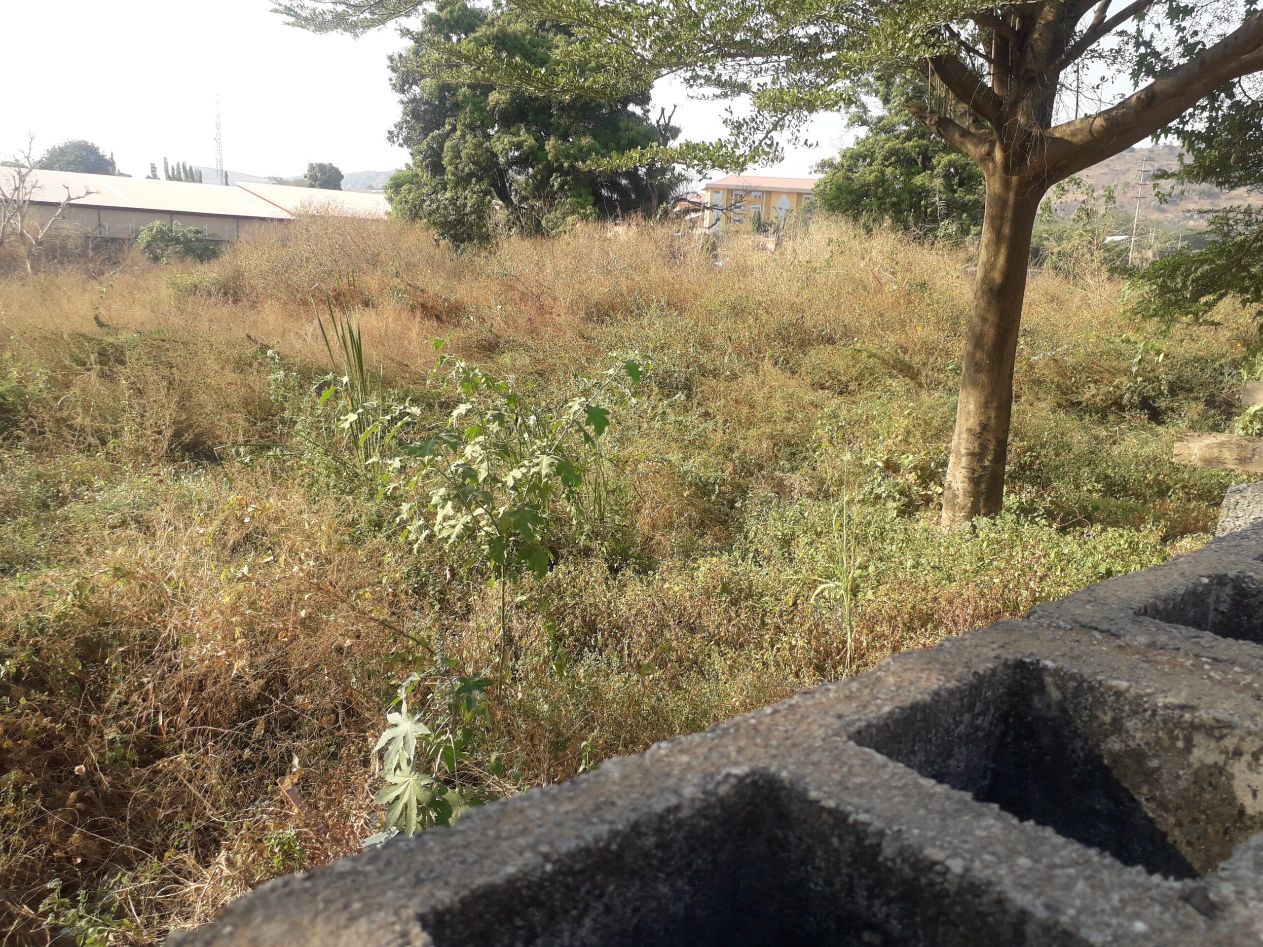 Premium Land