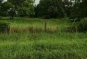 Land in a Fantastic Location