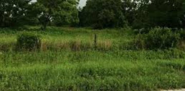 Land in a Fantastic Location
