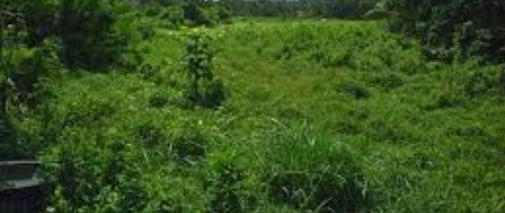 Land in a Fantastic Location