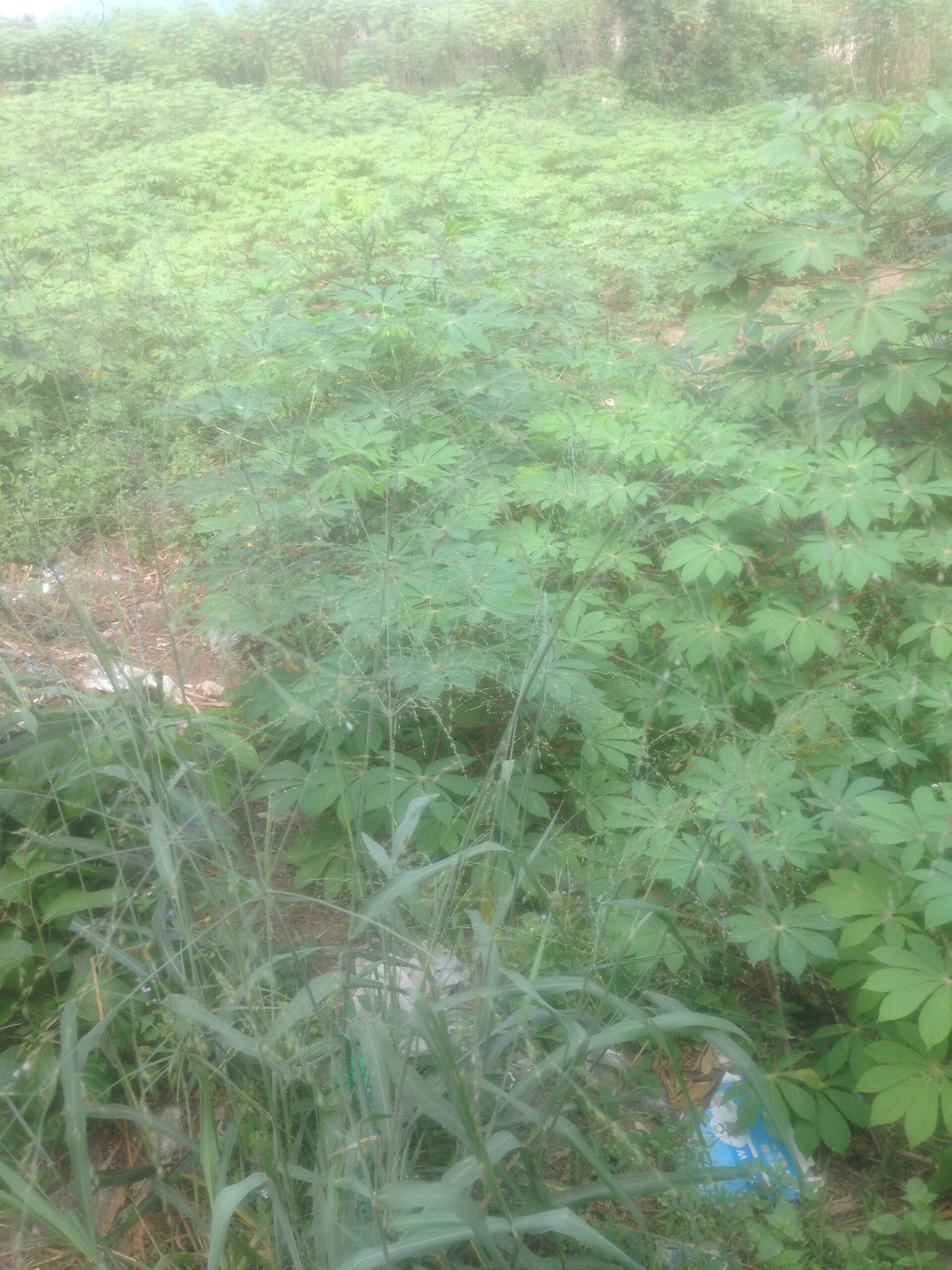 6 Plots(1 acre) of Land for sale in Nigercat Warri.
