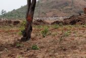 AMAC C of O LAND IS AVAILABLE FOR SALE IN AIRPORT ROAD ABUJA