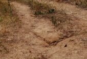 AMAC C of O LAND IS AVAILABLE FOR SALE IN AIRPORT ROAD ABUJA