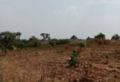 AMAC C of O LAND IS AVAILABLE FOR SALE IN AIRPORT ROAD ABUJA