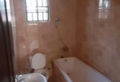 Finished house for rent in lokogoma