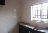 Finished house for rent in lokogoma