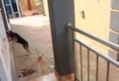 Three Bedrooms Flat for rent at Umuokpu Awka