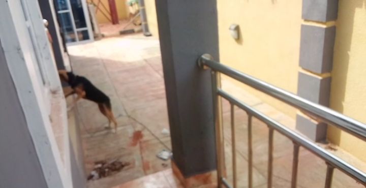 Three Bedrooms Flat for rent at Umuokpu Awka