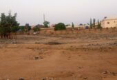 PLots of land