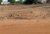 PLots of land