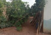 A Standard full plot of land with a demolishable structure and a temporal structure been used for school In a strategic location