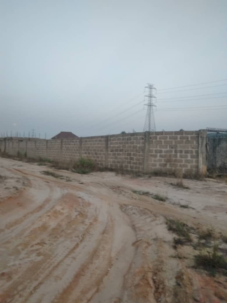 Deed of Assignment And Registered survey