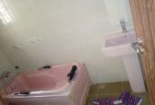 Brand new luxury four bedrooms terrace duplex with Bq