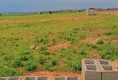 Plots of Land to Build Your Dream Home at Dominion Garden City Estate, Lugbe, Abuja