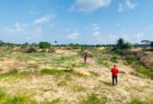A Beautiful and Serene Environment, 100% Dry land- Treehouse Estate
