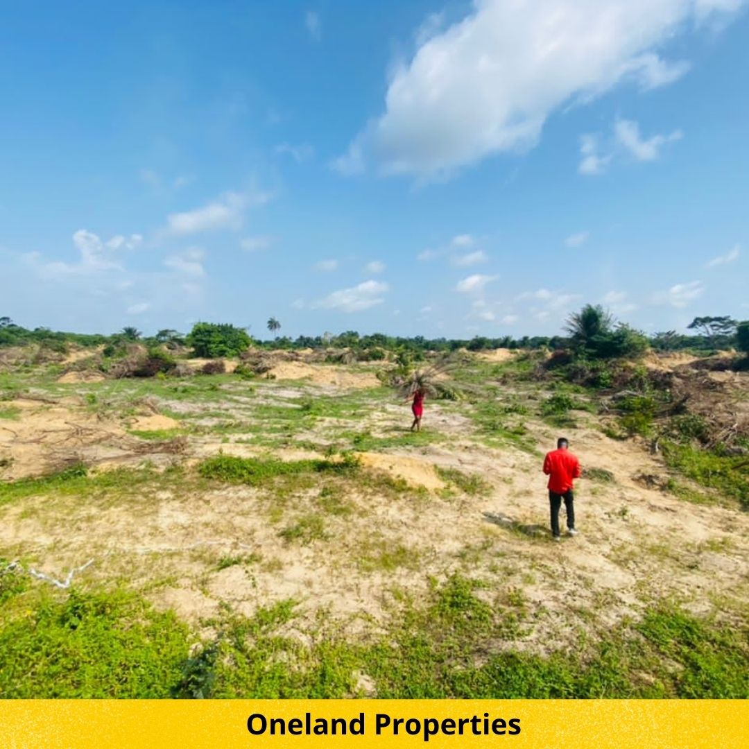 A Beautiful and Serene Environment, 100% Dry land- Treehouse Estate