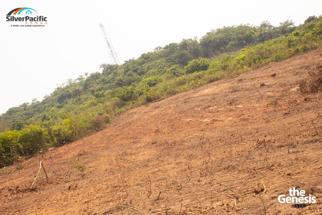 Total dry land with C of O title for sale
