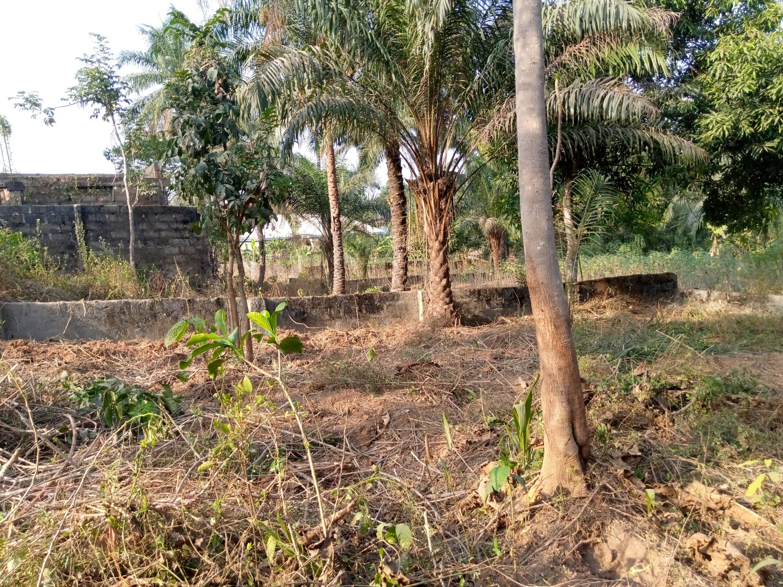Dwarf fenced table land