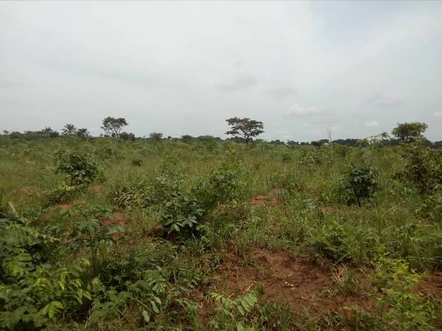 Dry plots of land for sale @ Mowe Ofada