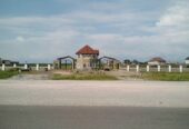 Certificate of occupancy
