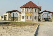 Certificate of occupancy