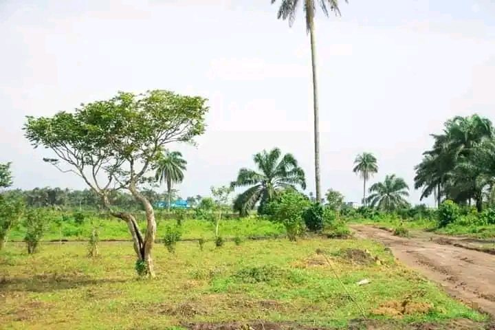 Table land available for sale