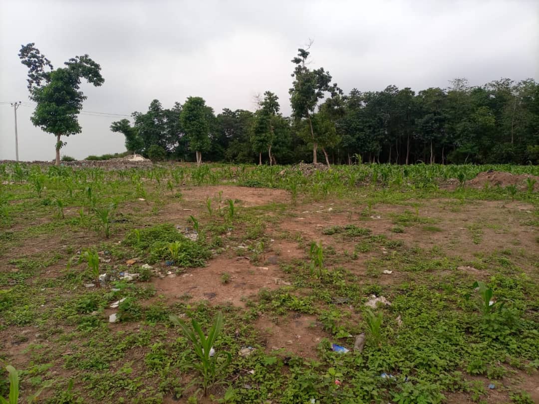 SELLING THIS 3511SQM OF LAND AT JABI, ABUJA (Call 07055612226)