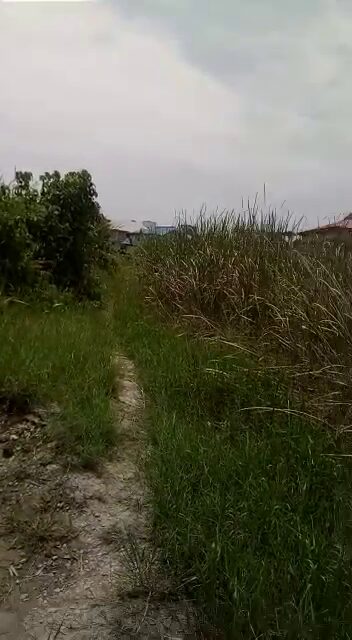 DISTRESS SALE – Land for Sale at Oke Ira Nla, Off ado road Ajah (Call 09039117316)