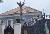 Registered survey and DEED