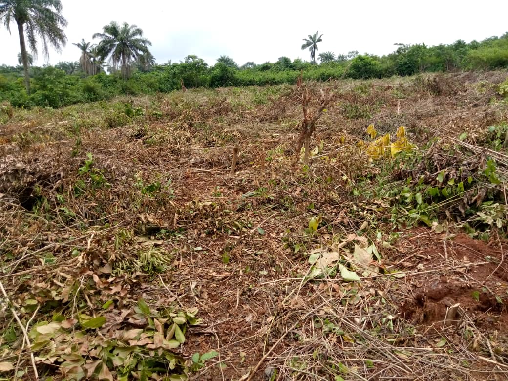 1 Acre Of Land
