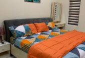 Lagos Elite Apartment