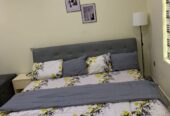 Lagos Elite Apartment