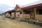 Commercial Apartments