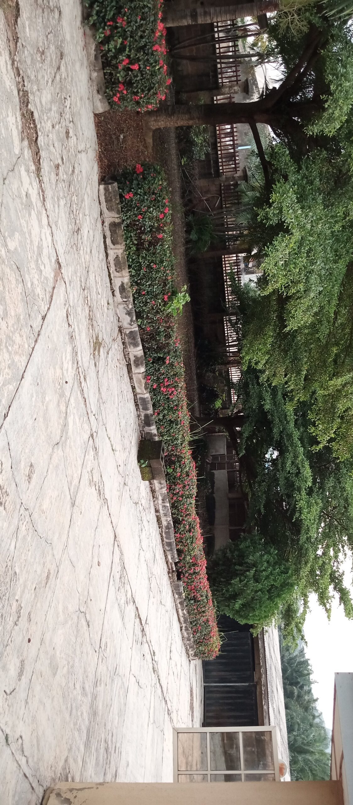 A Room in 3bedroom Apartment for Single Female