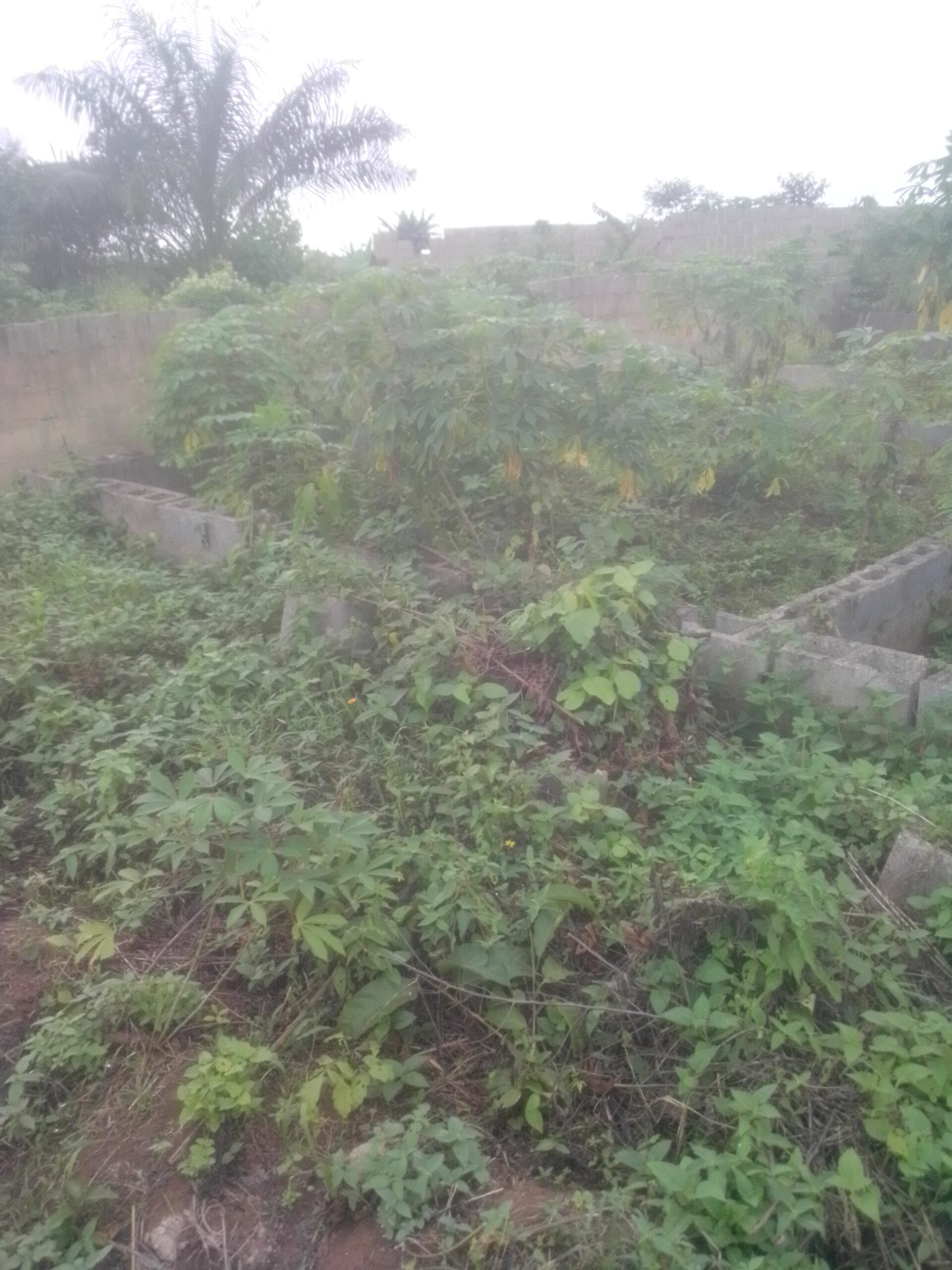 Room and parlour self three built inside at four couch level inside a full plot of land