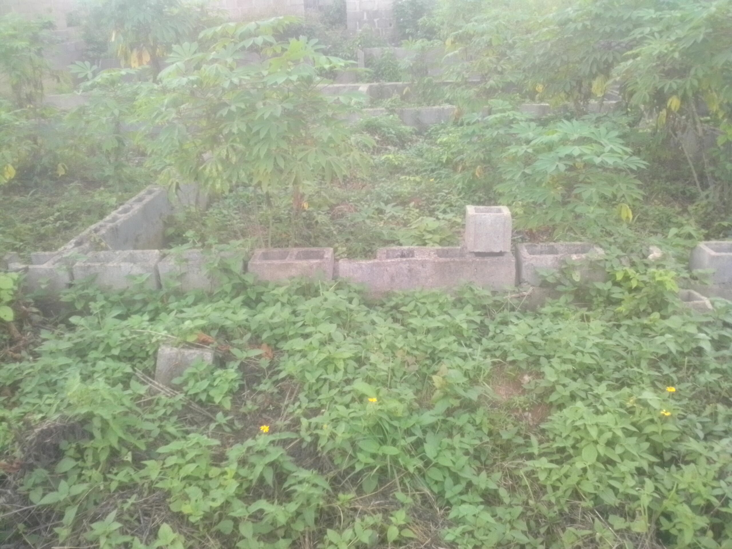 Room and parlour self three built inside at four couch level inside a full plot of land