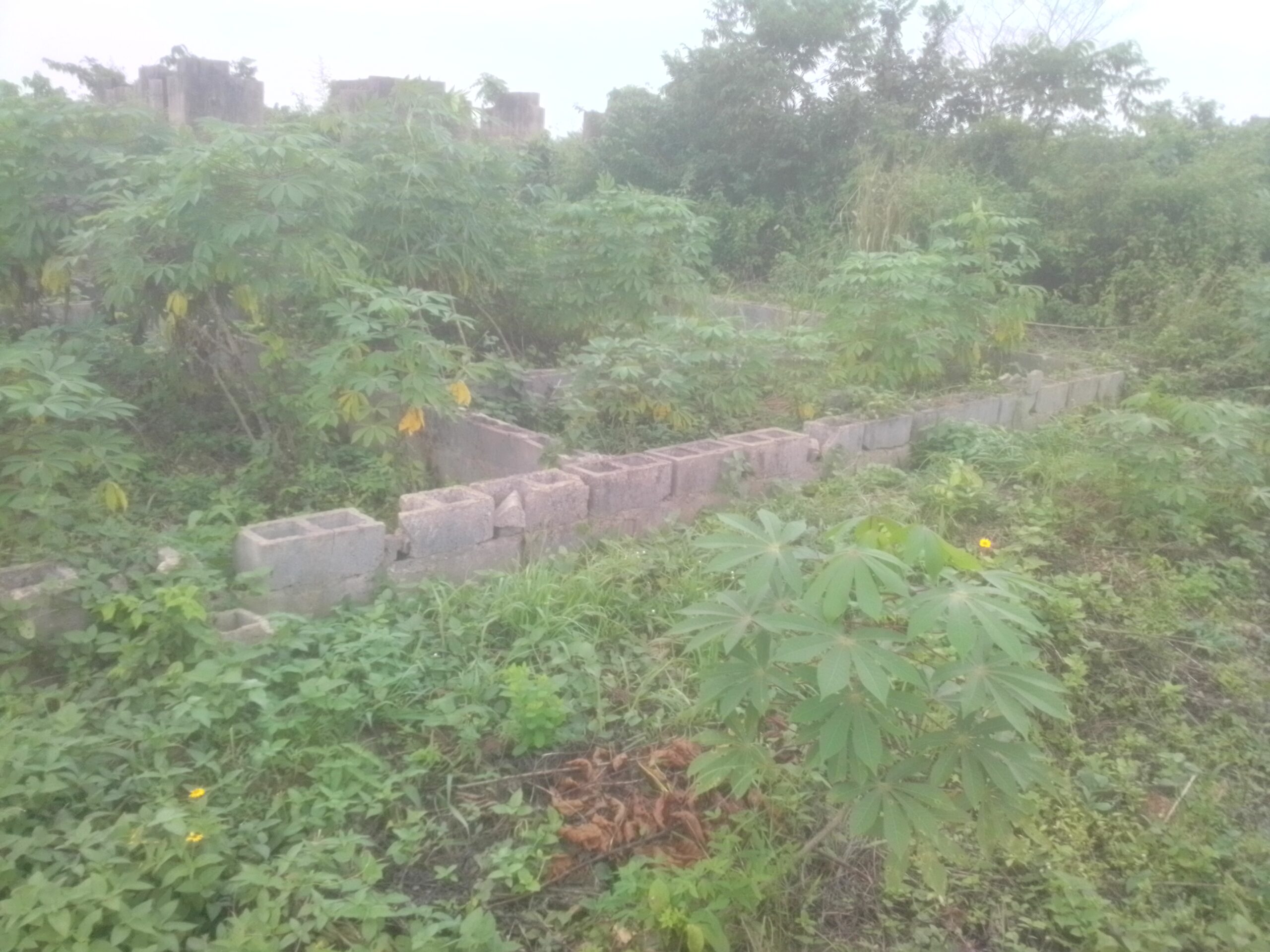 Room and parlour self three built inside at four couch level inside a full plot of land