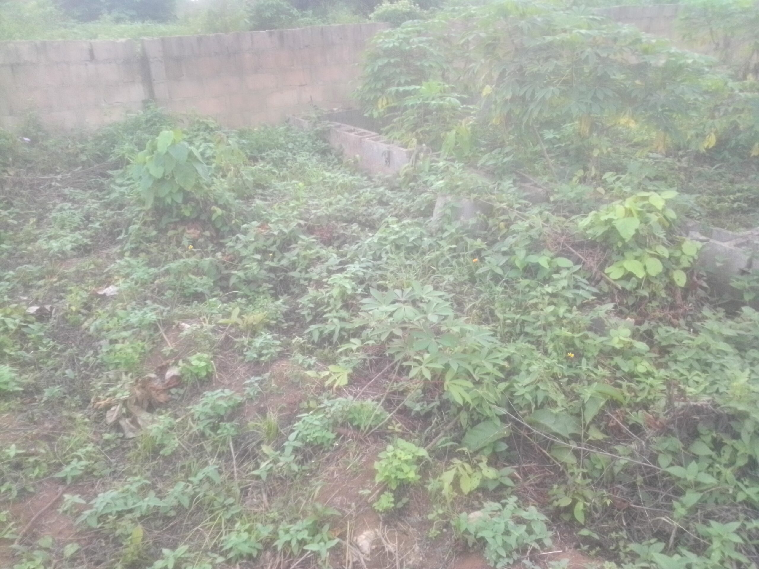 Room and parlour self three built inside at four couch level inside a full plot of land