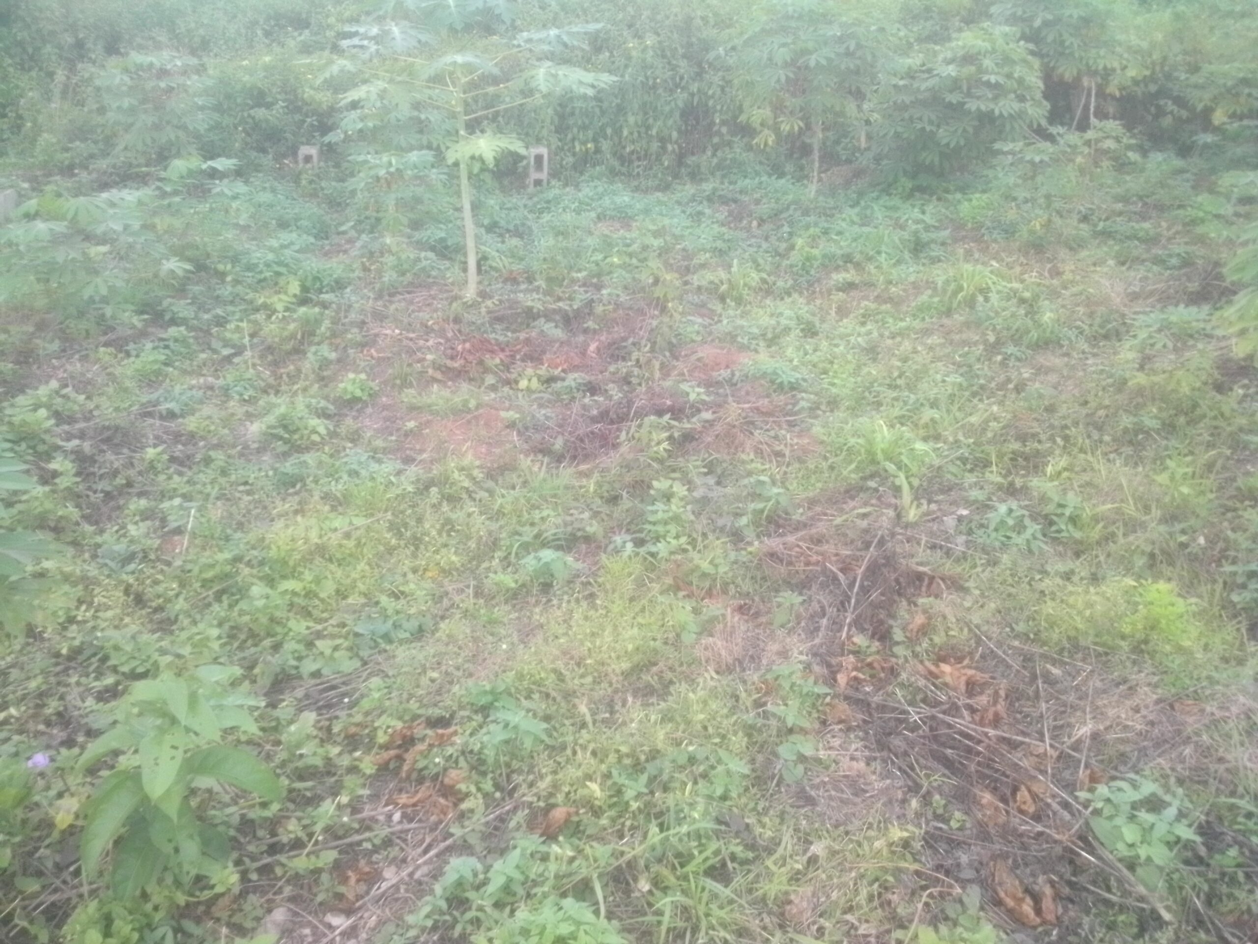 Room and parlour self three built inside at four couch level inside a full plot of land