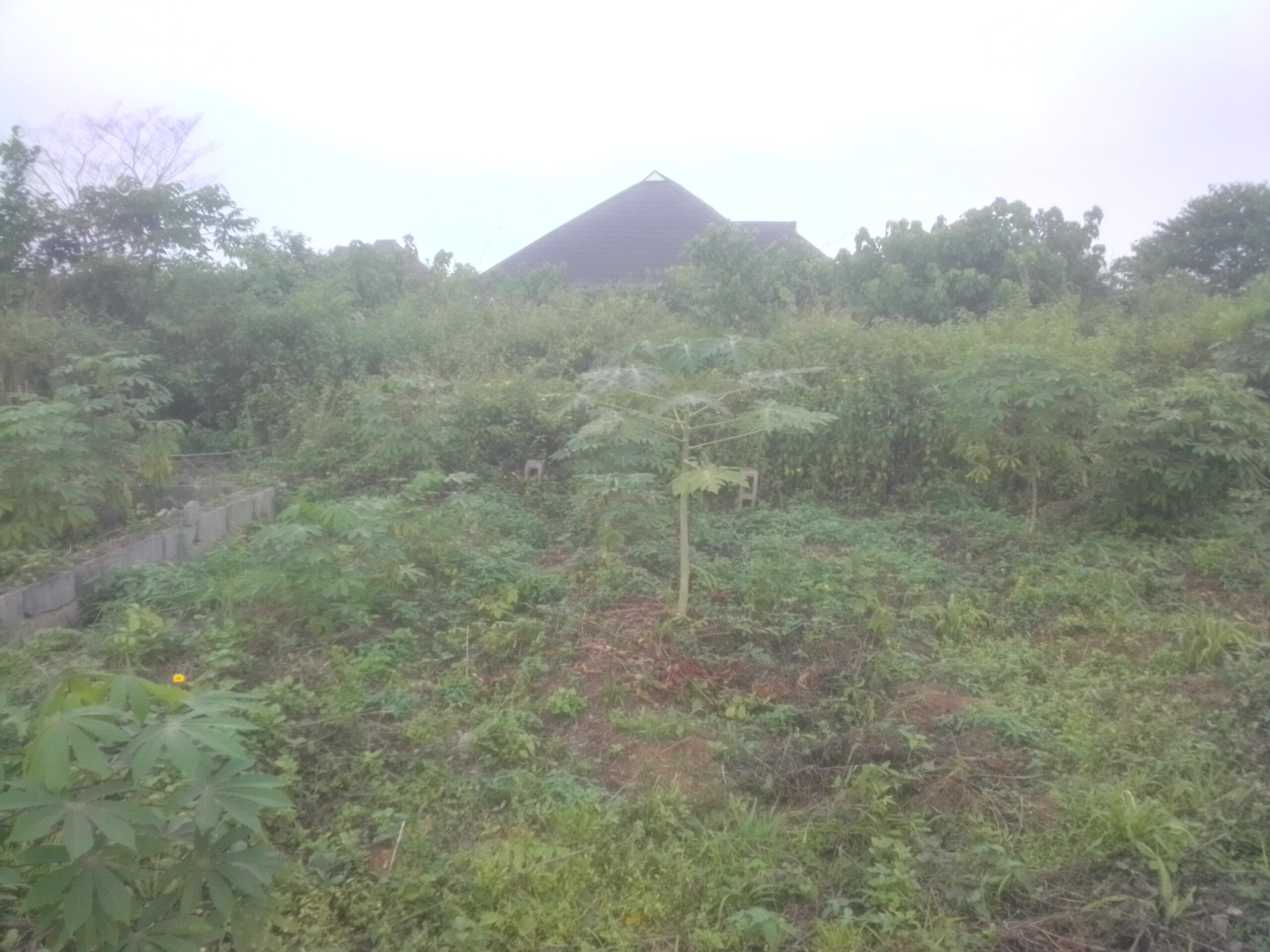 Room and parlour self three built inside at four couch level inside a full plot of land