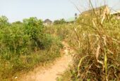 Land and buildings for sale