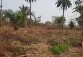 A FARMLAND FOR URGENT SALES!!!