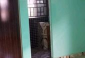 Newly built and spacious self-contained Apartment