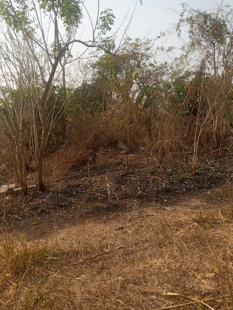 A plot of Land
