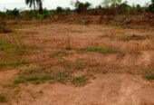 Land at imota