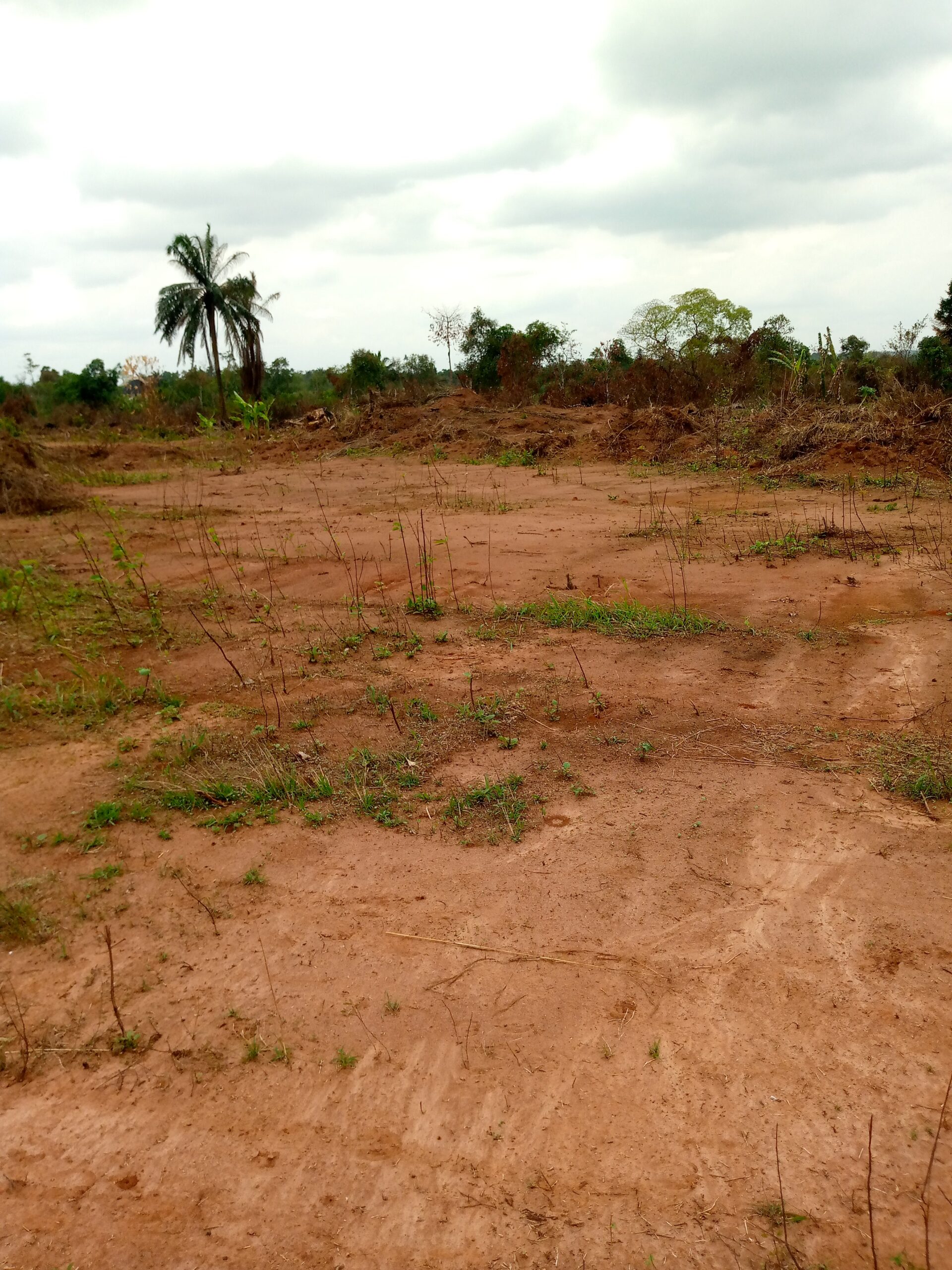 Land at imota
