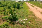 Land at imota