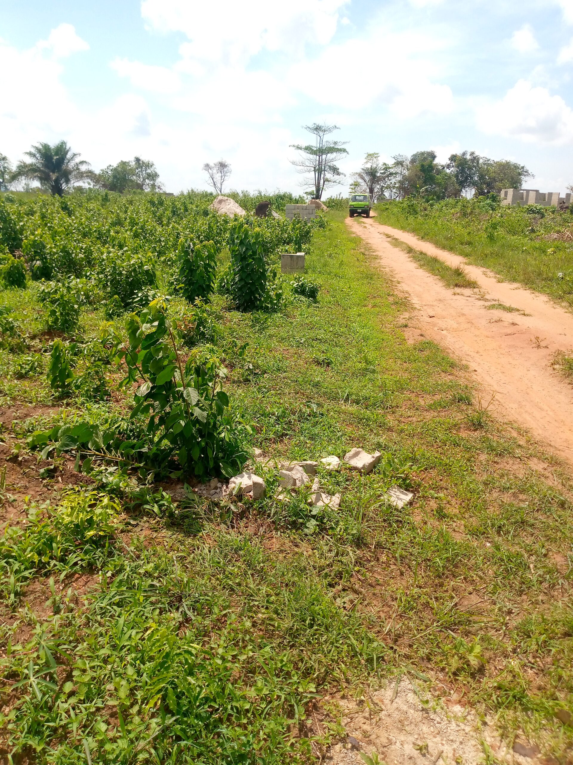 Land at imota