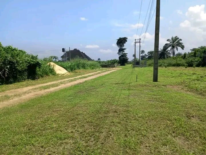 Residential Lands